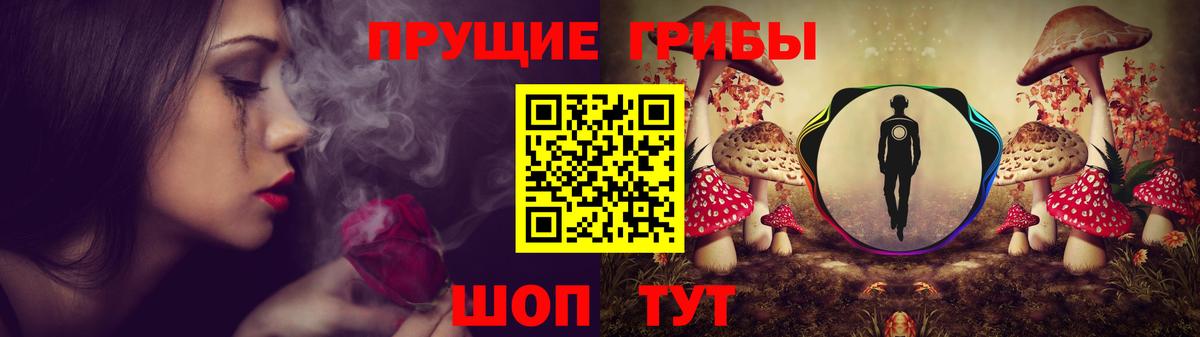 Псилоцибиновые грибы MAGIC MUSHROOMS Верхняя Пышма